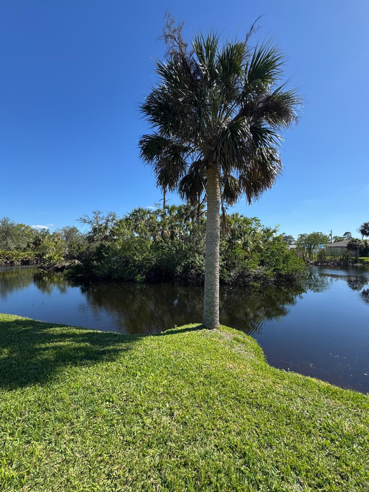 Near Your Sanctuary in Charlotte Harbor, Port Charlotte